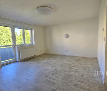 Pronájem bytu 2+1 58 m², Na Stínadlech , Písek - Fotografie 1