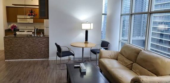 DOWNTOWN TORONTO CONDO RENTAL - Photo 2