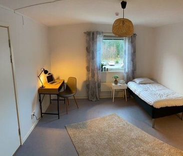 Björnkullaringen - Photo 3