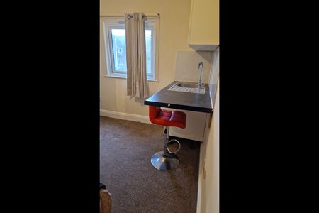 Studio Flat, Sandfield Road, CR7 - Photo 5