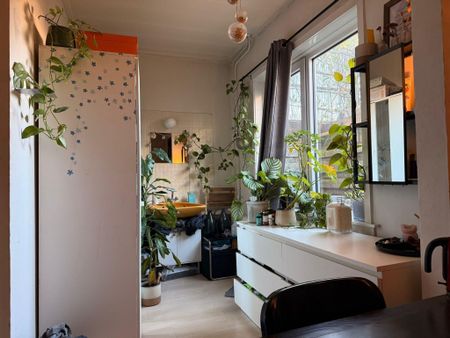 Te huur: Kamer Diezerplein in Zwolle - Photo 3