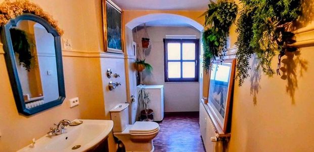 Single - / Pärchen Wohnung 2 ZKB Altstadt Neuburg - Photo 1