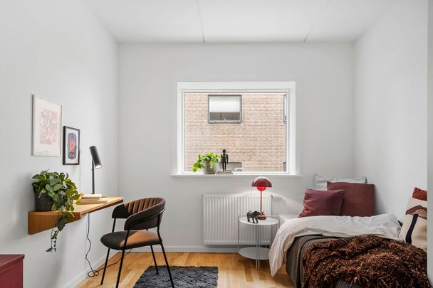 Velkommen til Store Grundet Alle! - Foto 1