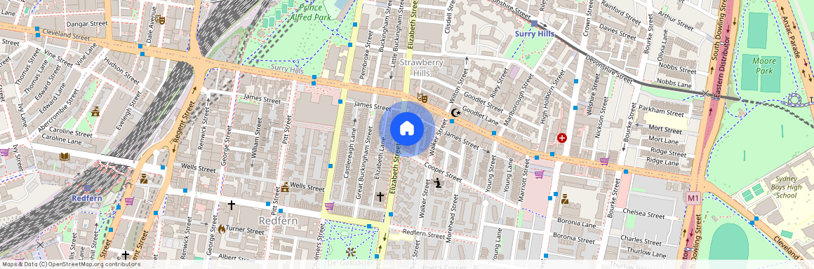 546 Elizabeth Street, Redfern NSW 2016