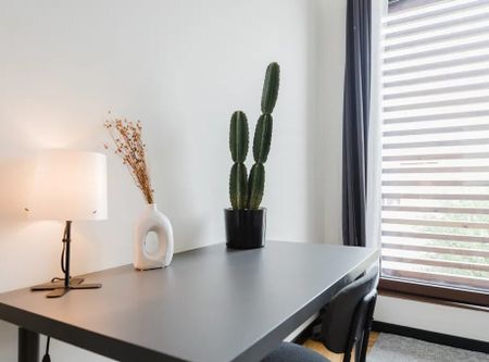 Rua do Pico, Porto, Braga 4200-486 - Photo 3