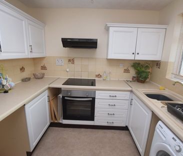 Freshwater Drive, Paignton, Devon, TQ4 - Photo 5
