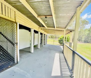 Queenslander on 1.3 Acres - Photo 5