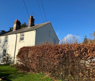 2 bedroom semi-detached house to rent - Photo 5