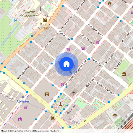 1463A Rue Chomedey, Montréal (Ville-Marie), H3H 2A6