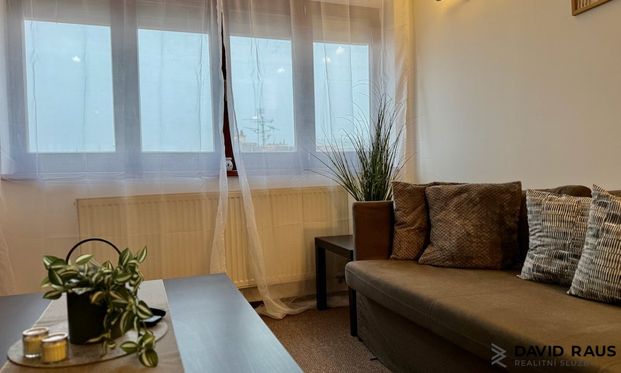 Pronájem bytu 1+kk a garsoniéry 61 m², Gorkého 9, Brno - Фото 1