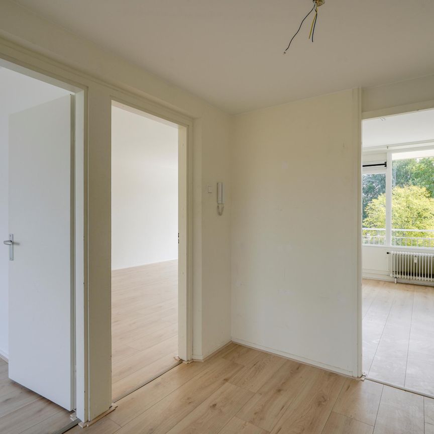 Tannhäuserdreef 3561 HV Utrecht - Photo 1