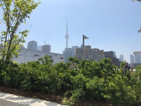 For Lease - 38 Cameron Street Unit# 921, Toronto, Ontario - Photo 3