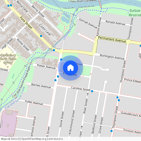 17 Elsie St, NSW 2206, Earlwood