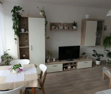 Pronájem BJ 3+1 Červený Kostelec, U Kaštánků ul. - Fotografie 3