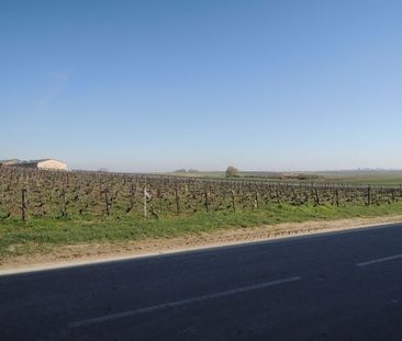 Maison à louer - SACY - Photo 4