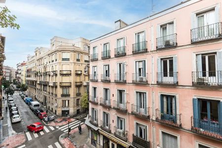 Calle de Apodaca, Madrid, Community of Madrid 28004 - Photo 4