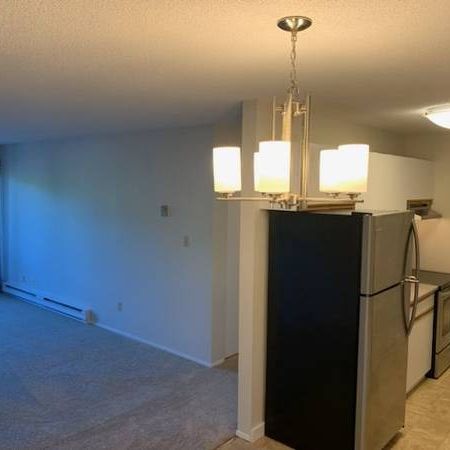 Large 2 bedroom 1.5 bathroom with in suite laundry - Photo 3