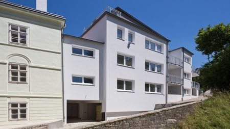 SCHEIBBS XIX/1 - Photo 3