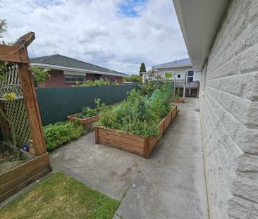 Whanganui East - 3 Bedrooms. - Photo 4