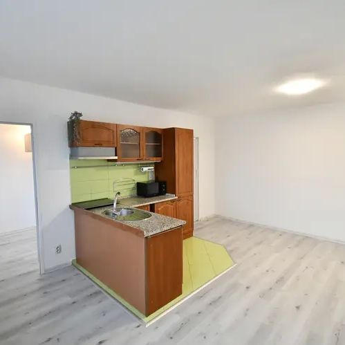 Pronájem bytu 1+1 s lodžií v osobním vlastnictví o celkové výměře 42 m - Photo 1