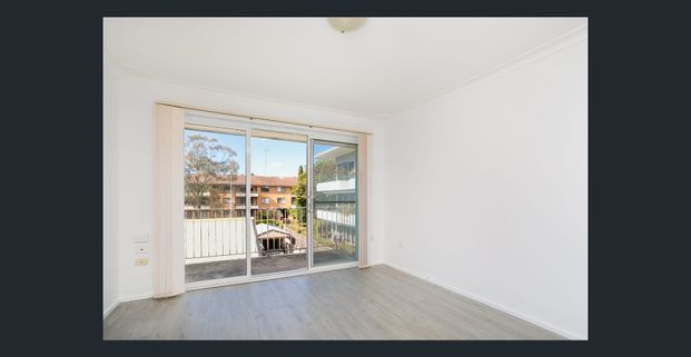 Renovated Apartment Moments From Dee Why Beach - Photo 1