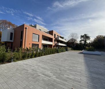 ✨ NEW! 2-ROOM PENTHOUSE APARTMENT – CORSIER (GE) ✨ - Photo 2