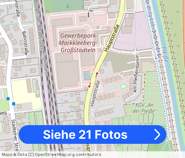 Repräsentative 4-Zimmer-Wohnung in historischer Stadtvilla, Garage,... - Foto 1