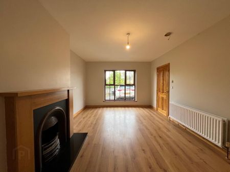 17 Townhill Court, Portglenone, BT44 8BA - Photo 2