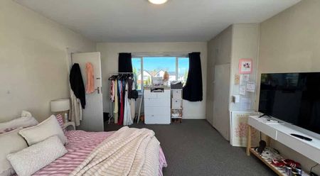 Famous Fendalton Flat - Photo 4