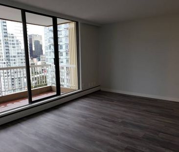 NEWLY RENOVATED 2 Bedroom + 1 Bath! Spacious and bright with VIEWS!!! - Photo 3