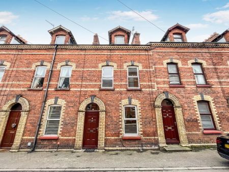 14 Victoria Crescent, Lisburn, BT27 4TF - Photo 3