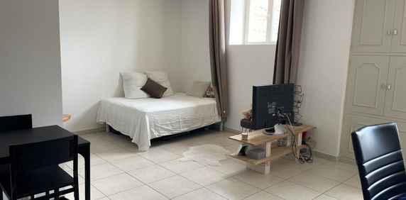 Appartement 30.8 m² - 1 pièce - Nîmes (30900) - Photo 2