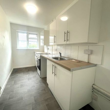 Corn Mill Crescent, Exeter - Photo 3