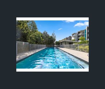 8 Starling, Buderim, Qld 4556 - Photo 3