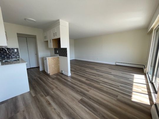 Newly Renovated Second Floor Apartment in White Rock - Photo 1