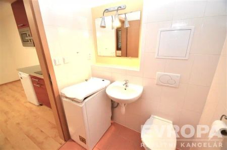 Pronájem 1+kk, Praha 4 – Braník, ul. Na Vinohradu - Photo 5