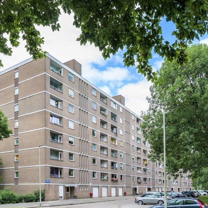 Te huur: Appartement Adriaan Dortsmanstraat in Rotterdam - Foto 1