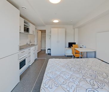 Peak Apartments - Photo 4