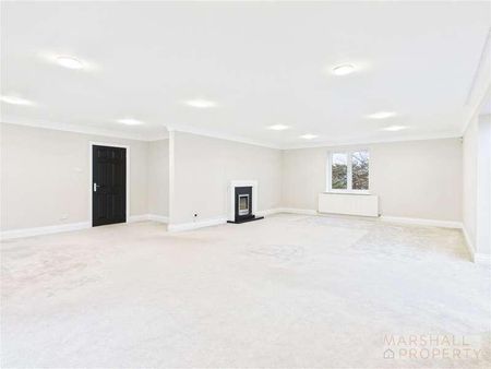 The Courtyard, North Mossley Hill Roa, Liverpool, L18 - Photo 4