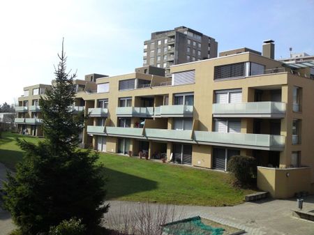 "An ruhiger Lage" - Photo 2