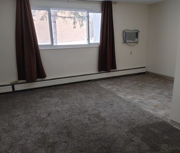 APT 12-51 ROBINSON - Photo 3