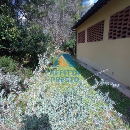 Appartamento in affitto a Montelupo Fiorentino - Photo 4