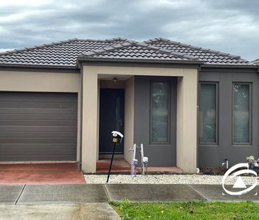 16 Godfrey Avenue, 3977, Cranbourne East Vic - Photo 2