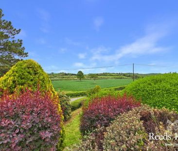 105 Lisbane Road, Saintfield, Ballynahinch, BT24 7BT - Photo 4