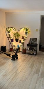 Grand 3 1/2 à louer près du métro Honoré-Beaugrand - Photo 4