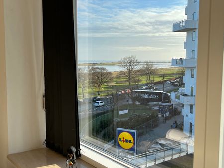 Penthouse ved Amager Strand med stor privat terrasse udlejes 12 måneder, fuldt møbleret - Photo 2