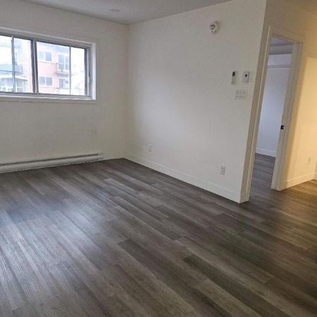 1 CH - 1 SDB - Montréal - $1,345 /mo - Photo 4