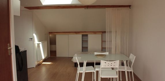 Location Appartement 1 pièce 18m² VILLERS LES NANCY 54600 - Photo 2