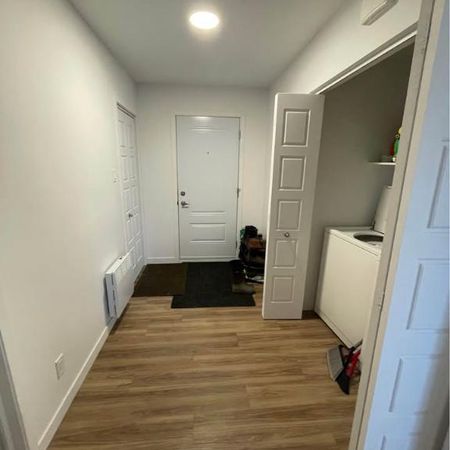 Grand appartement 3 chambres et 2 salles de bain - Photo 4