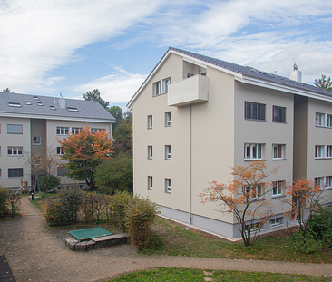 grosszügige Wohnung mit Balkon und eigener Waschmaschine - Photo 1